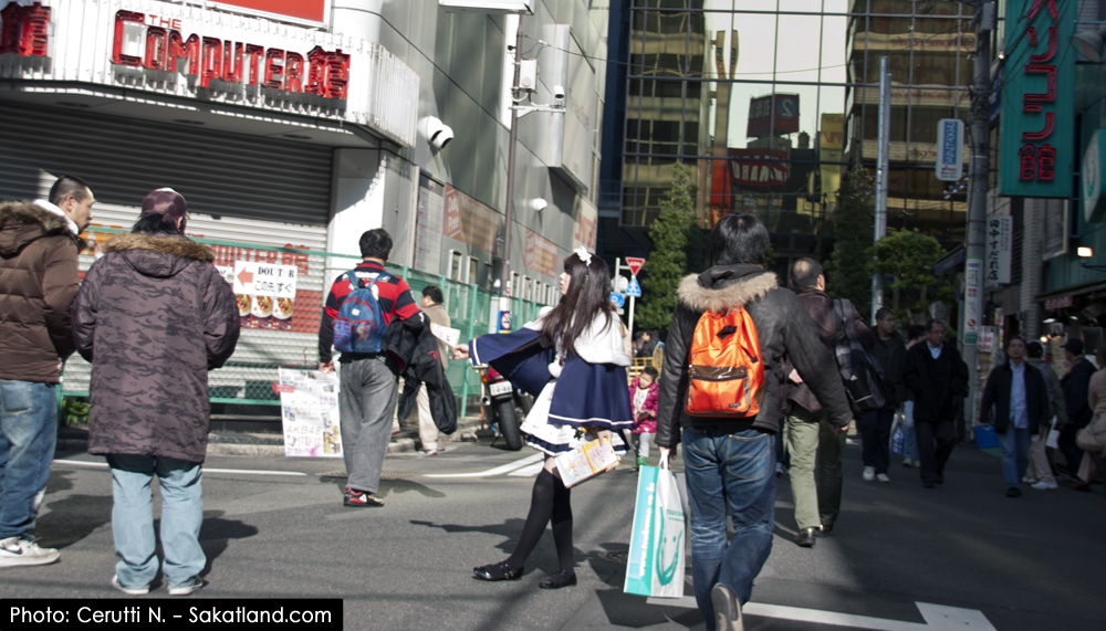 Nishikasai_Ueno_Akiba.jpg