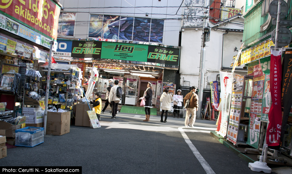 Nishikasai_Ueno_Akiba2.jpg