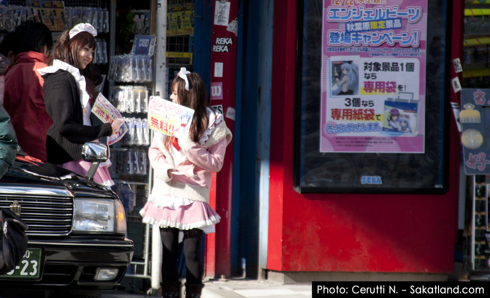 Nishikasai_Ueno_Akiba3.jpg