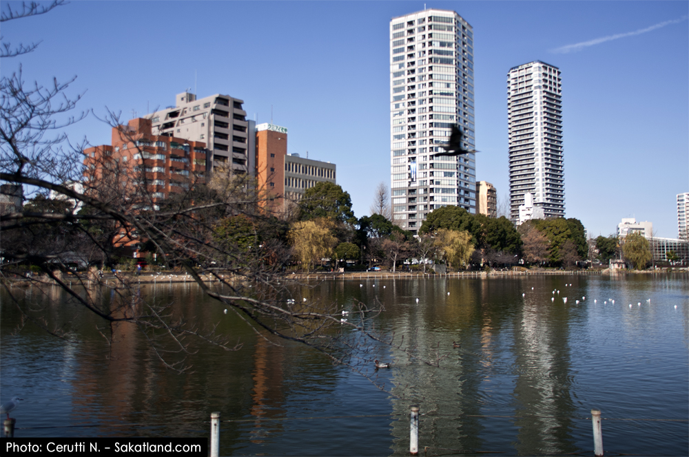 Nishikasai_Ueno_Koen.jpg