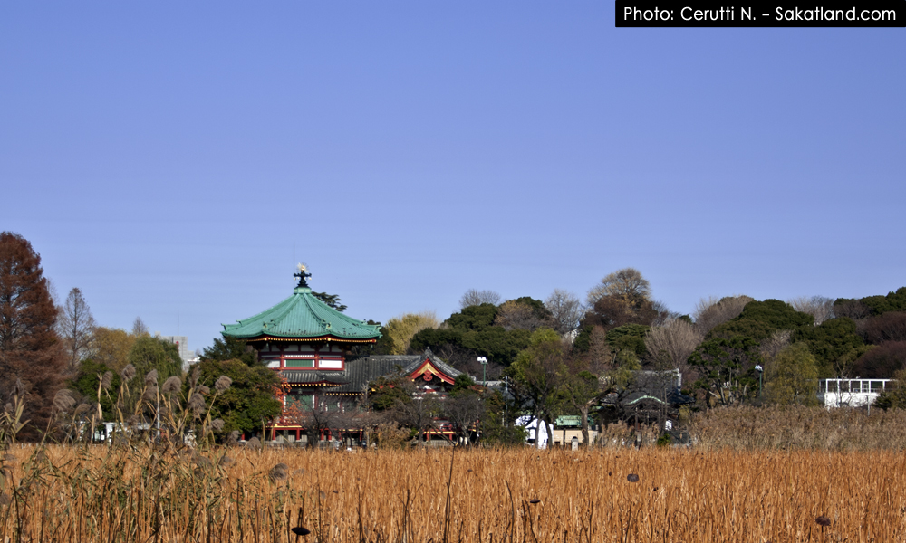 Nishikasai_Ueno_Koen2.jpg
