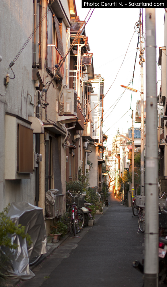 Nishikasai_Ueno_Street.jpg