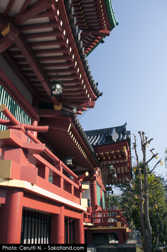 Nishikasai_Ueno_Temple.jpg