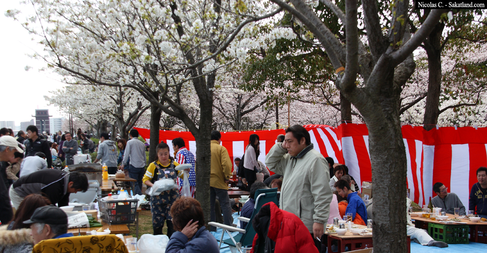 Sakura_People2.jpg