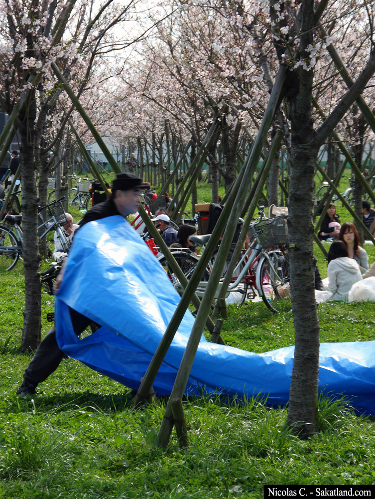 Sakura_People5.jpg