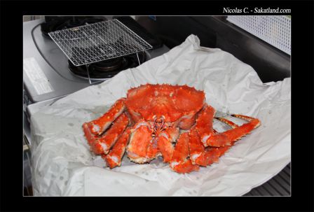Crabe_1.jpg