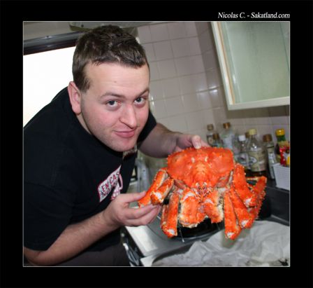 Crabe_2.jpg