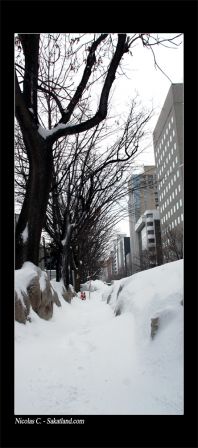 Sapporo_Matsuri_Divers_Chemin.jpg