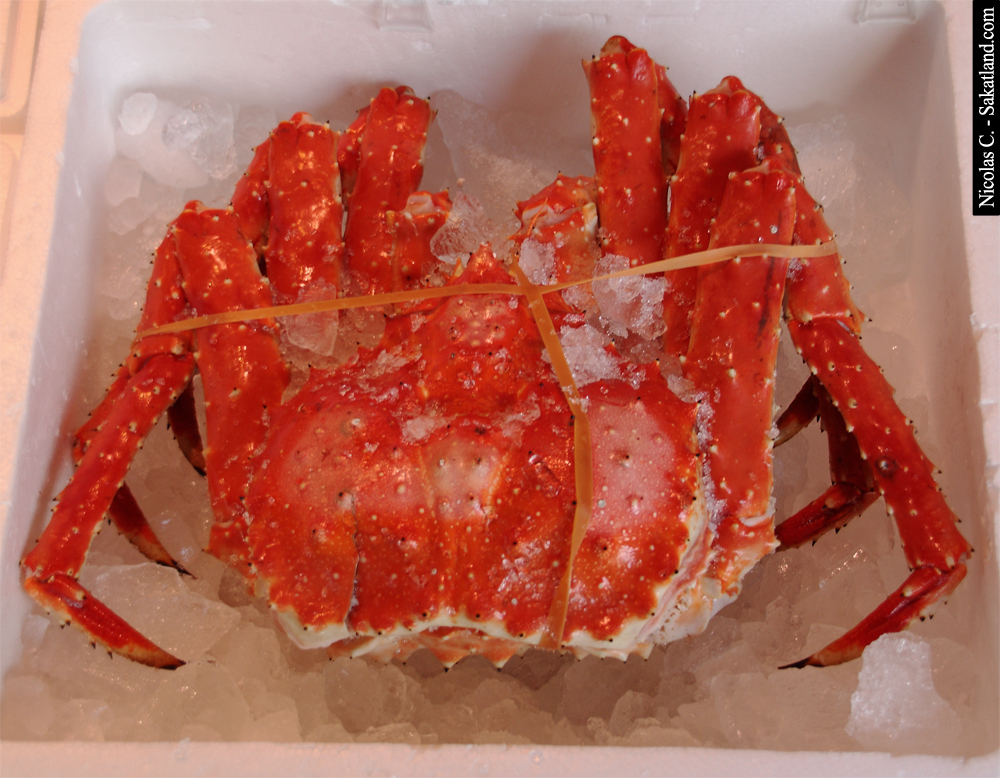 Sapporo_Matsuri_Market_Crabe3.jpg