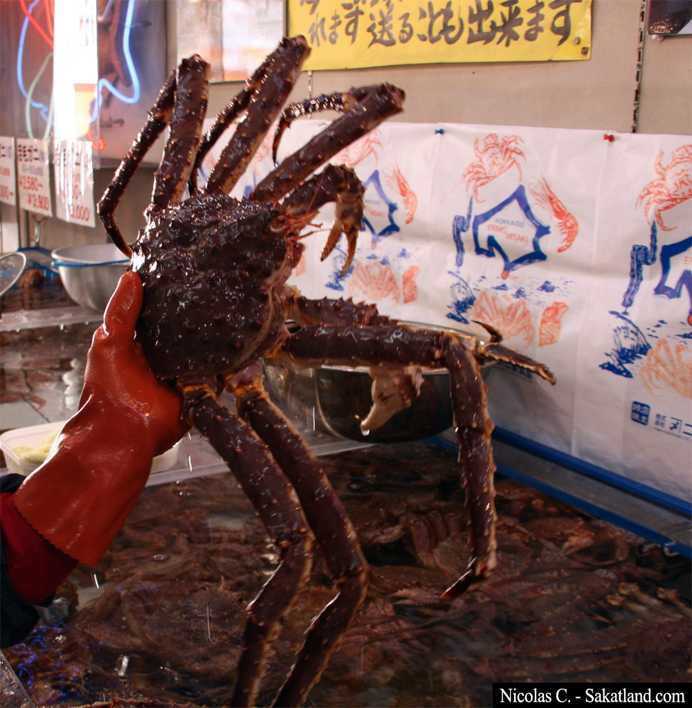 Sapporo_Matsuri_Market_Crabe4.jpg
