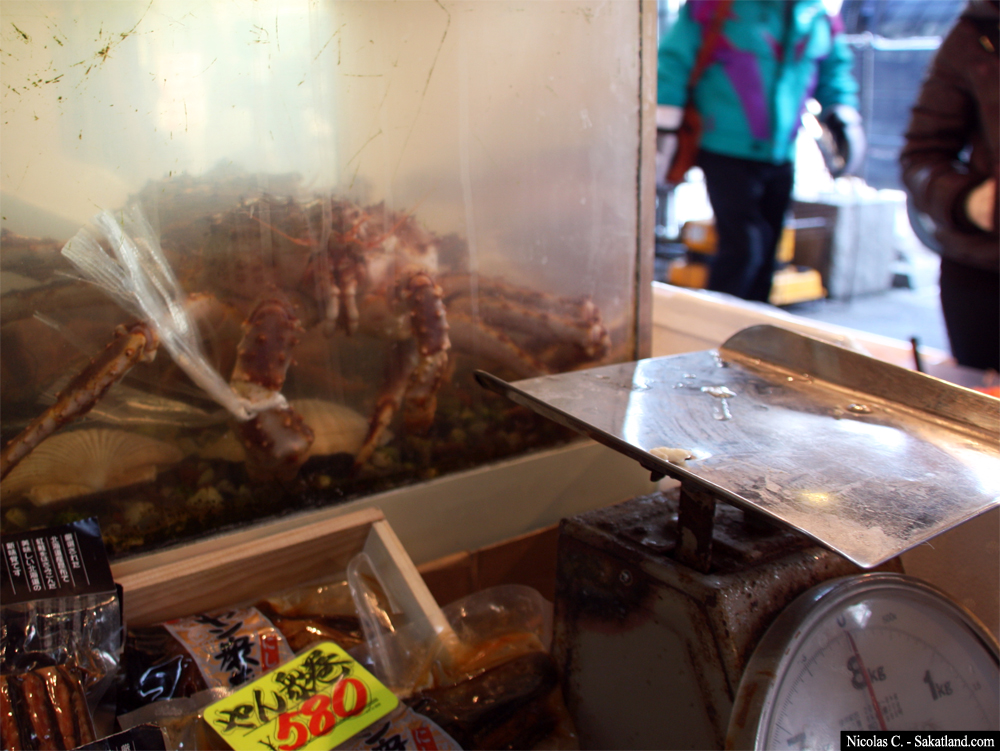 Sapporo_Matsuri_Market_Lookmeintheyes.jpg