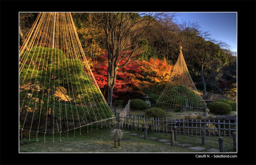 Shin_Edogawa_Koen_HDR1.jpg