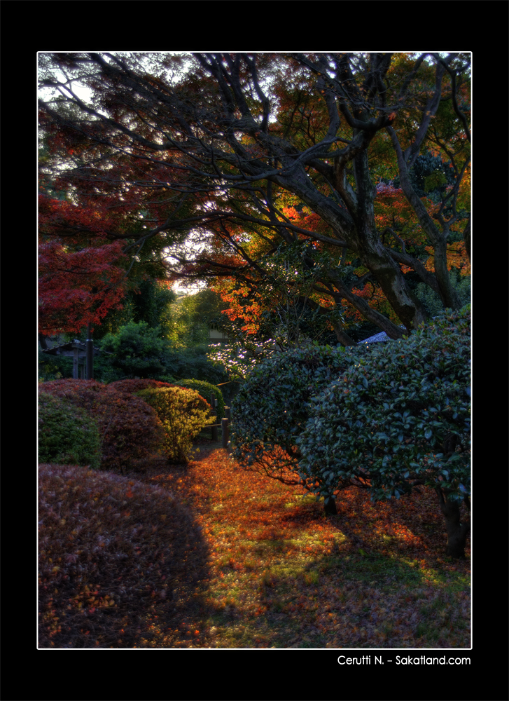 Shin_Edogawa_Koen_HDR2.jpg