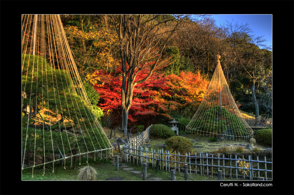 Shin_Edogawa_Koen_HDR3.jpg