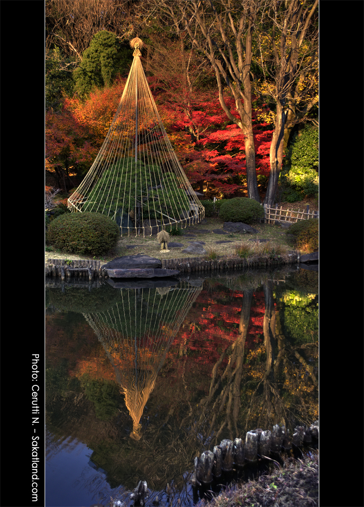Shin_Edogawa_Koen_HDR4.jpg