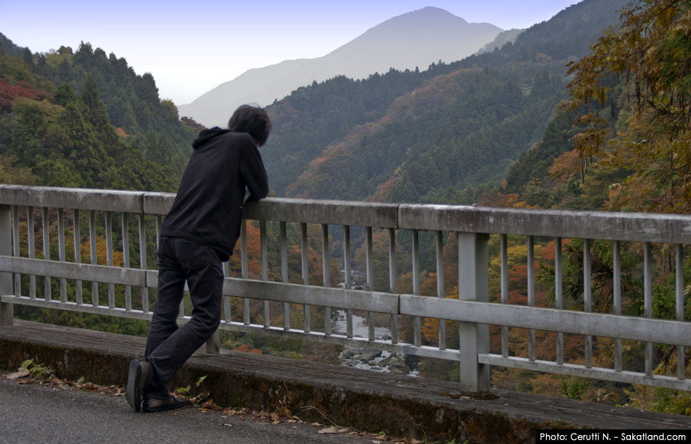 Spotting_Tomomi_BridgeNakamura.jpg