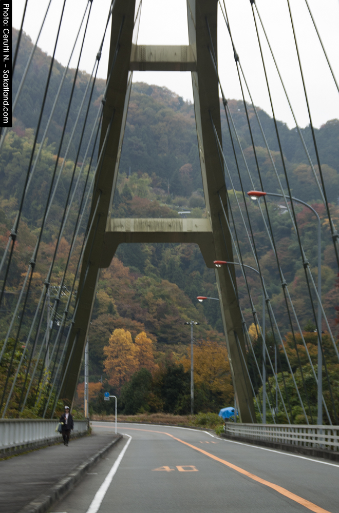 Spotting_Tomomi_BridgeRoad.jpg
