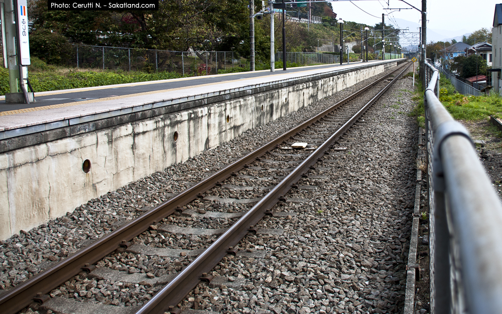 Spotting_Tomomi_Fujinostation.jpg