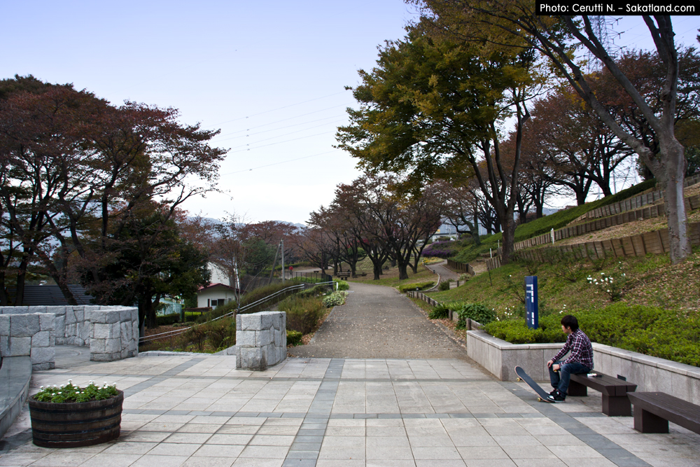 Spotting_Tomomi_Park3.jpg