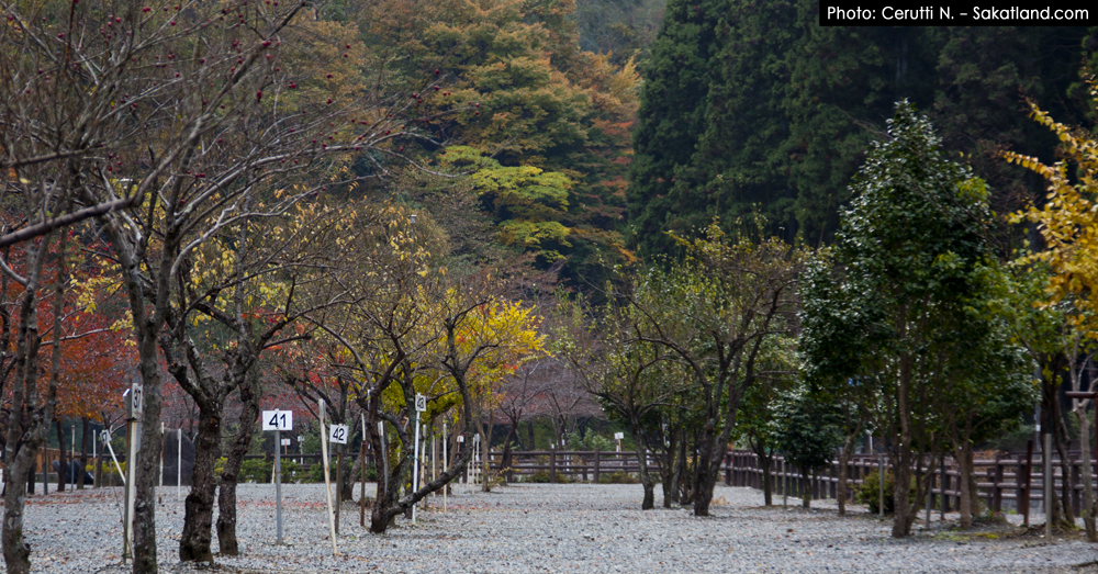 Spotting_Tomomi_Place.jpg