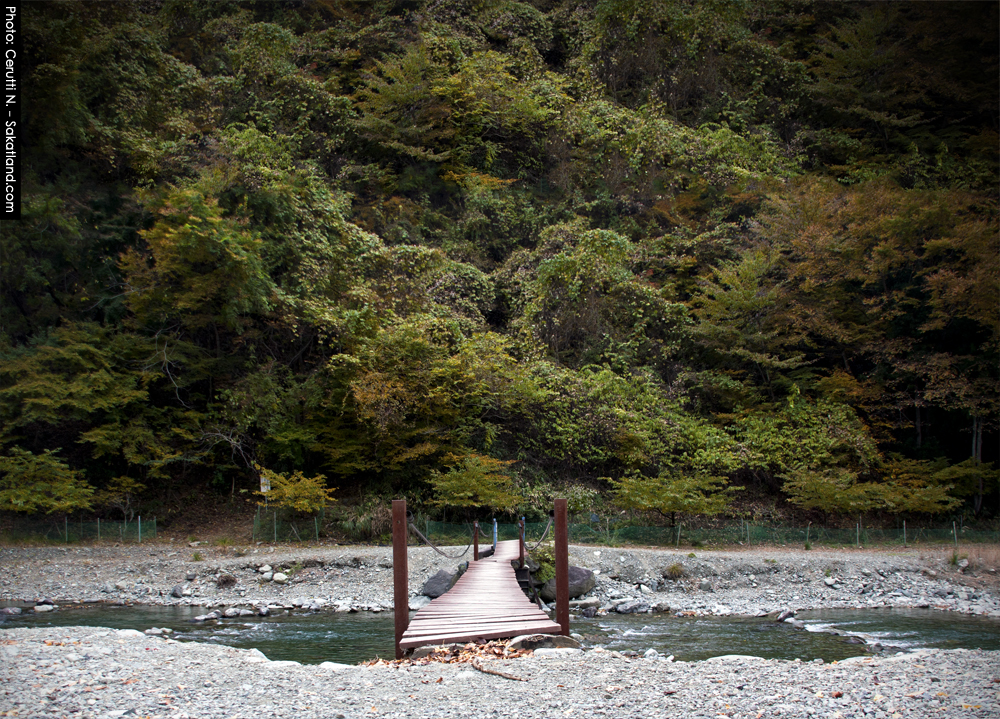 Spotting_Tomomi_SmallBridge.jpg