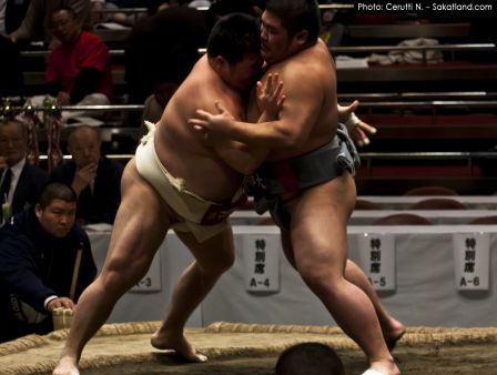 Sumo_Fight10.jpg