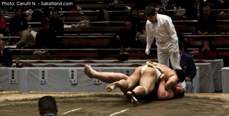 Sumo_Fight12.jpg