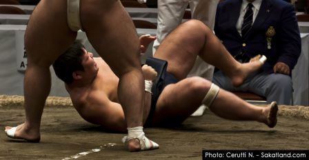 Sumo_Fight13.jpg
