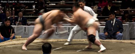 Sumo_Fight14.jpg
