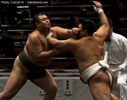 Sumo_Fight15.jpg