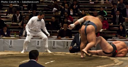 Sumo_Fight17.jpg