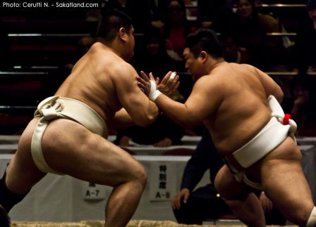 Sumo_Fight18.jpg