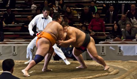 Sumo_Fight20.jpg
