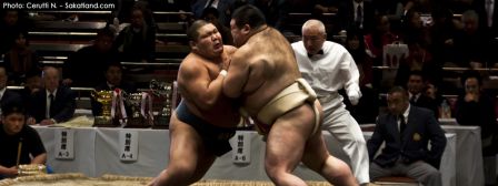 Sumo_Fight21.jpg