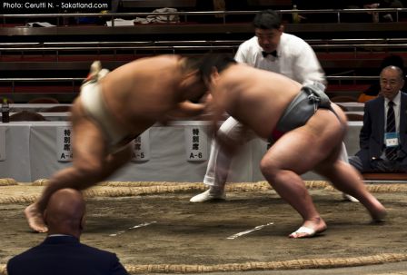 Sumo_Fight4.jpg
