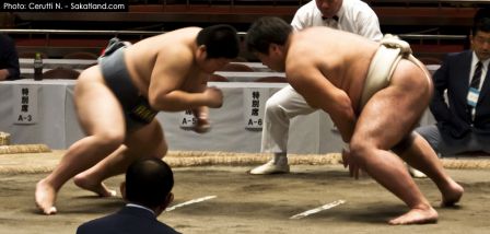 Sumo_Fight6.jpg
