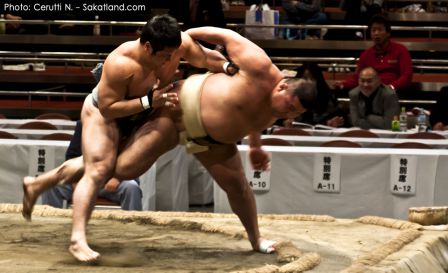 Sumo_Fight8.jpg