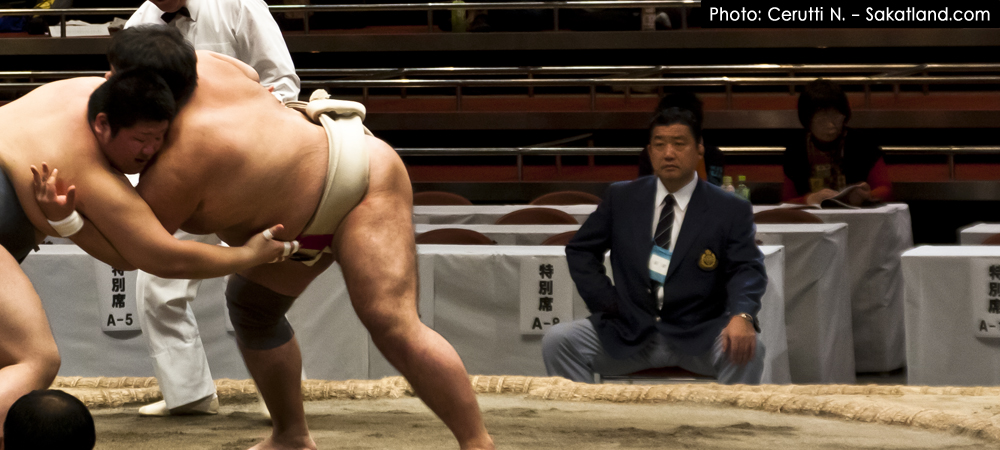 Sumo_Arbitre.jpg