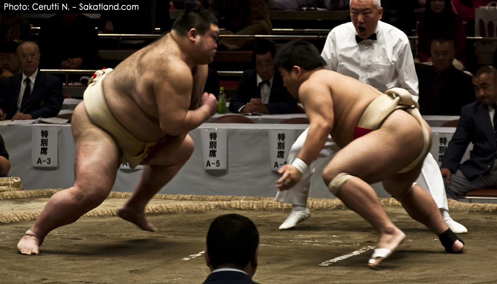 Sumo_CHARGE.jpg
