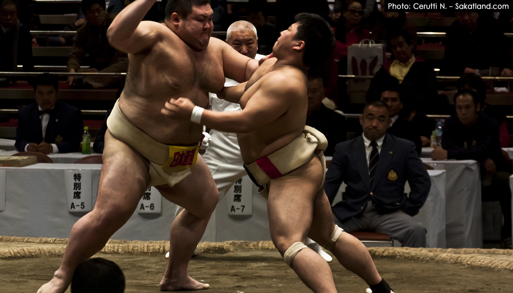 Sumo_CHARGE2.jpg