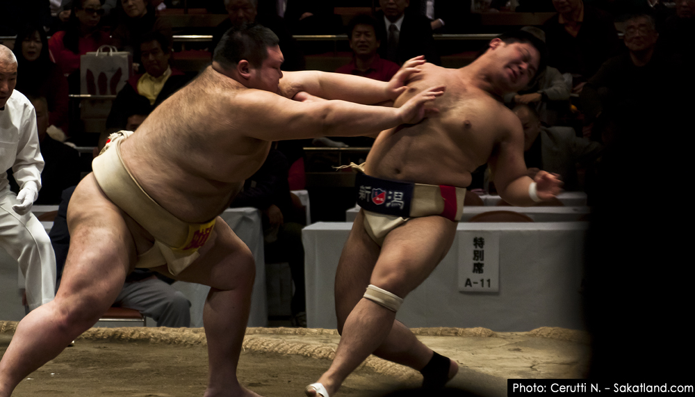 Sumo_CHARGE3.jpg