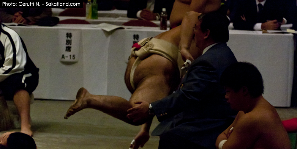 Sumo_Fall.jpg