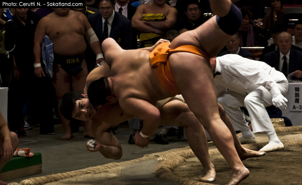 Sumo_Fall2.jpg