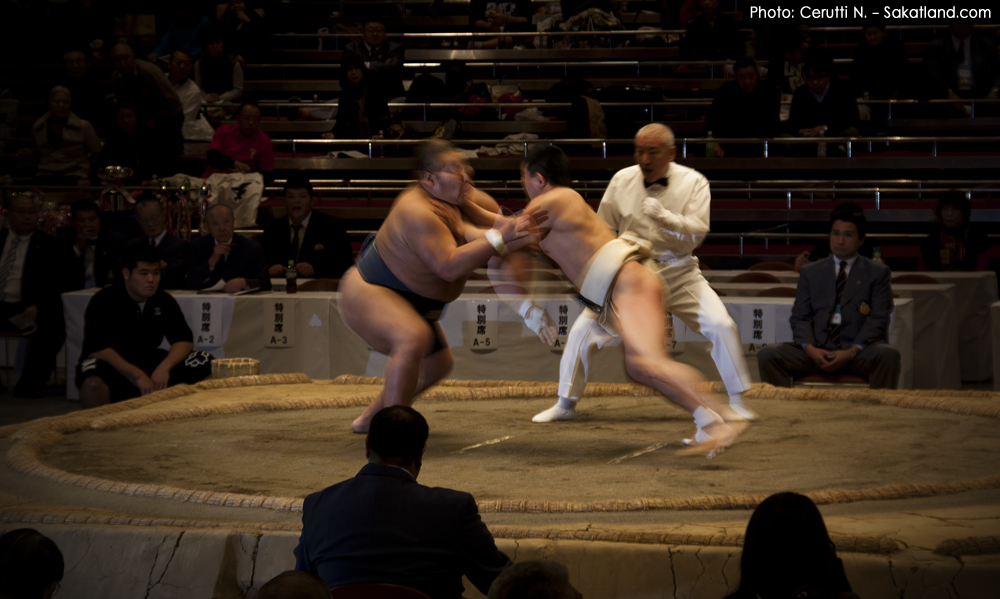 Sumo_Fight1.jpg