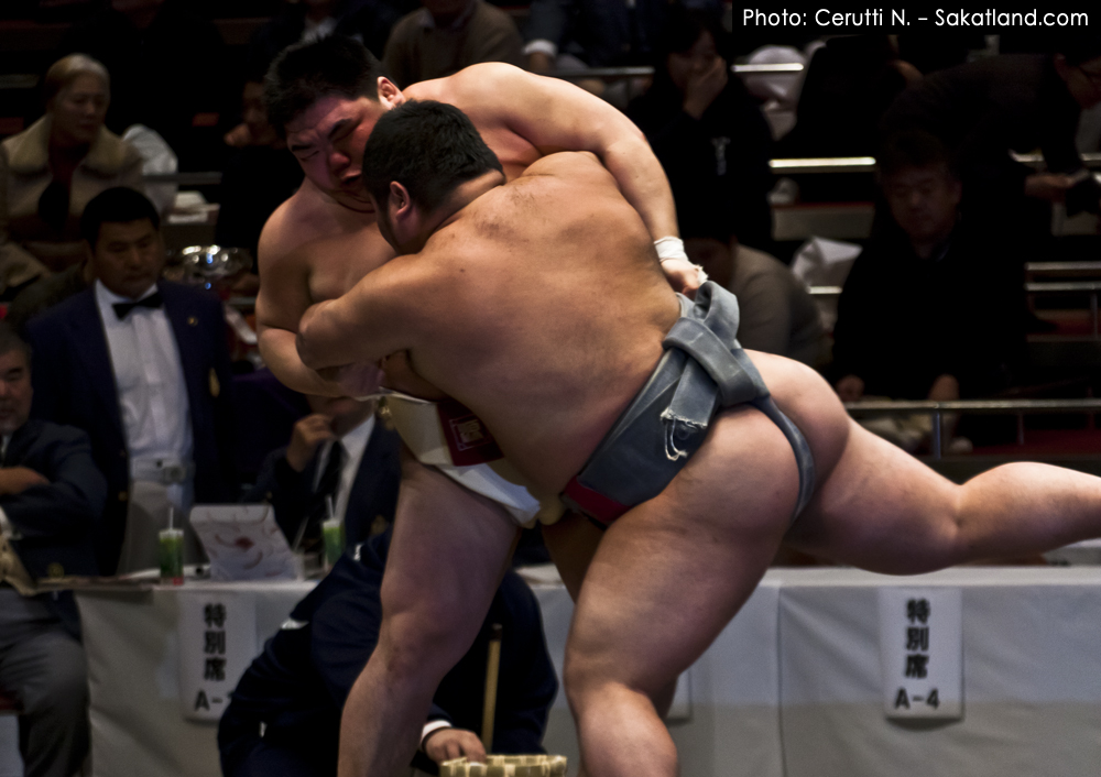 Sumo_Fight11.jpg