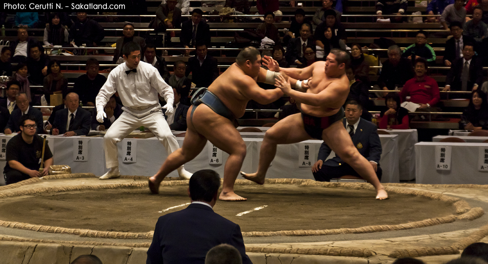 Sumo_Fight16.jpg
