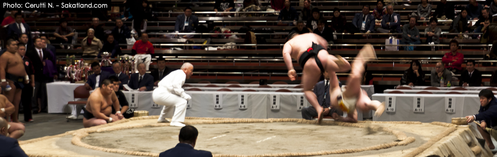 Sumo_Fight2.jpg