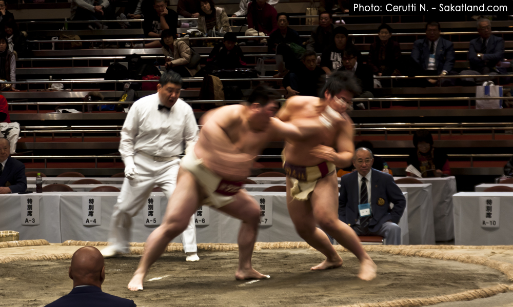 Sumo_Fight3.jpg