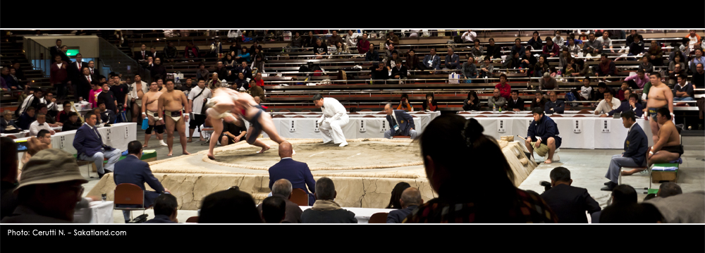 Sumo_Fight5.jpg