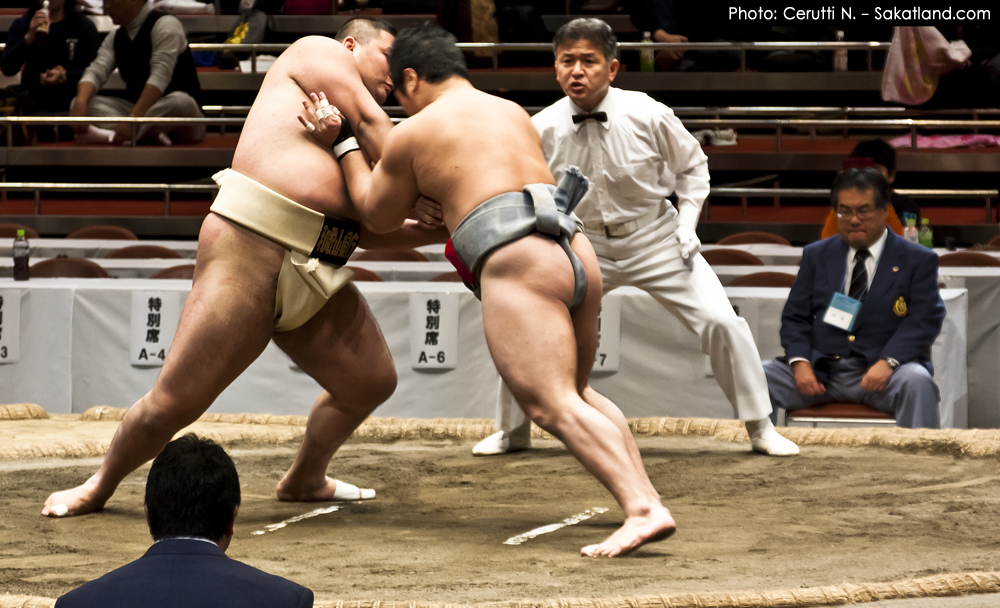 Sumo_Fight7.jpg